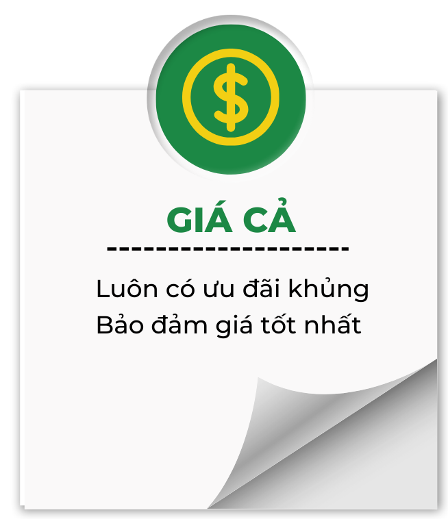 Tour Núi Thần Tài